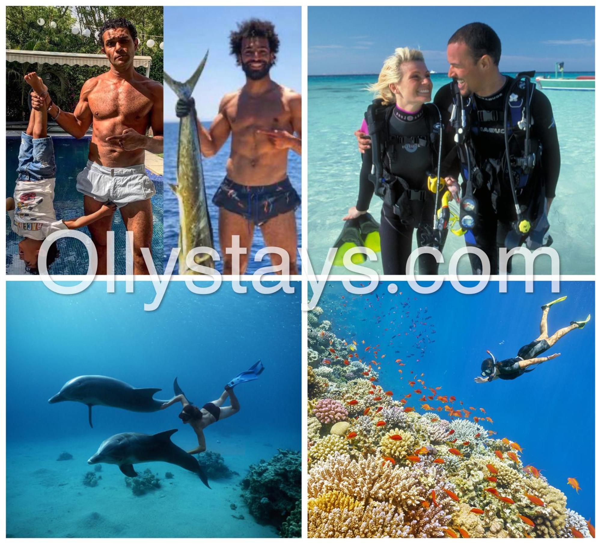 Ollystays Mangroovy 1 Bedroom Beach And Pool Free Access 洪加達 外观 照片