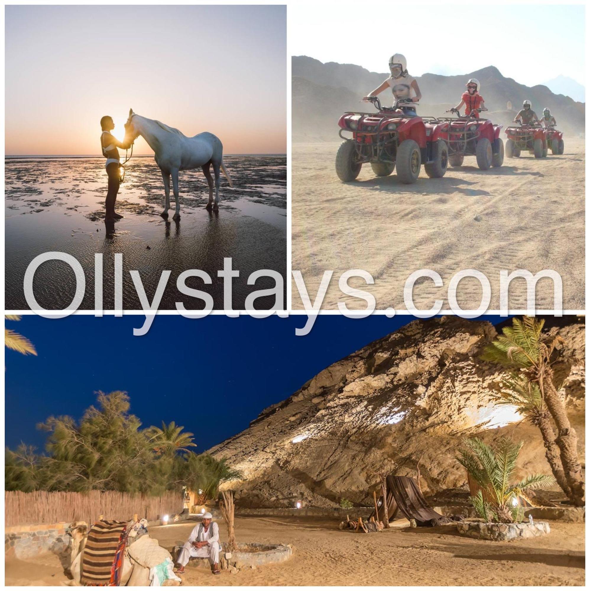 Ollystays Mangroovy 1 Bedroom Beach And Pool Free Access 洪加達 外观 照片
